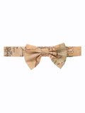 Boys Dark Beige Map Bow Tie